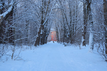 Similar image 22024317