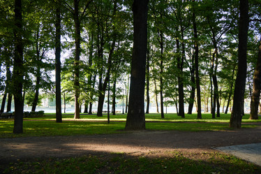 Similar image 22024322