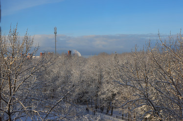 Similar image 22024323