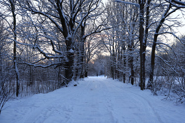 Similar image 22024324