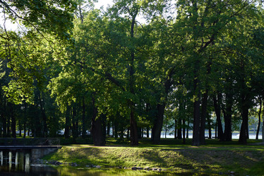 Similar image 22024331