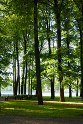 Similar image 22024338