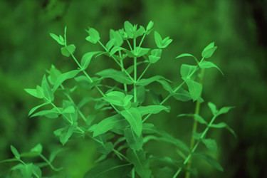 Similar image 22049392