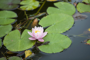 Similar image 22049393