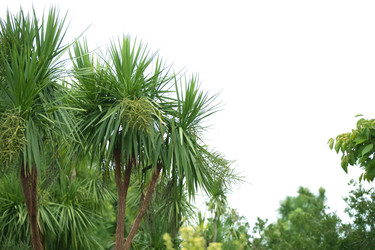 Similar image 22049396