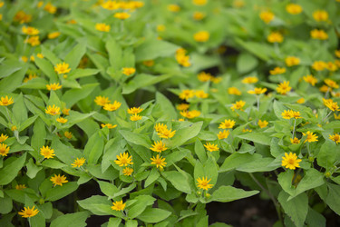 Similar image 22049398