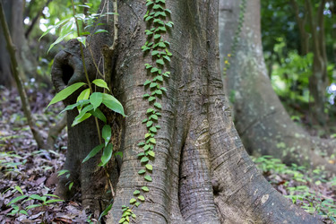 Similar image 22049402