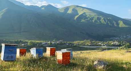 Similar image 22049407