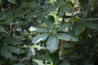 Similar image 22049435