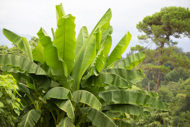 Similar image 22049437