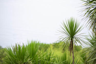 Similar image 22049438