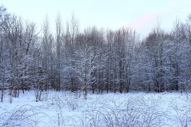 Similar image 22024345