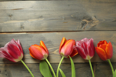 Similar image 22037896