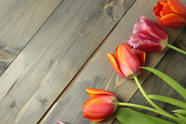 Similar image 22037897