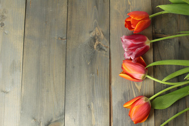 Similar image 22037898