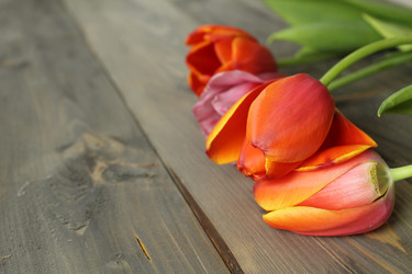 Similar image 22037899