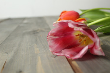 Similar image 22037900