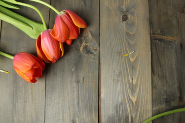 Similar image 22037901