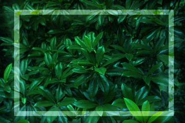 Similar image 22049441