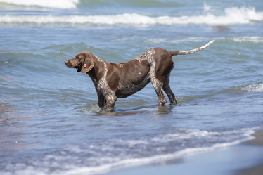 Similar image 22049446