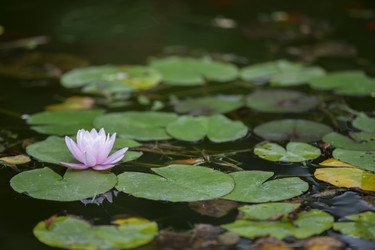 Similar image 22049455