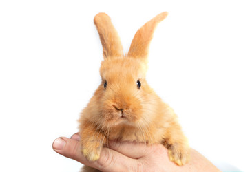 Similar image 22049472