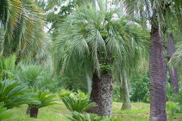 Similar image 22049480