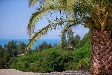 Similar image 22049496