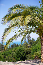 Similar image 22049498