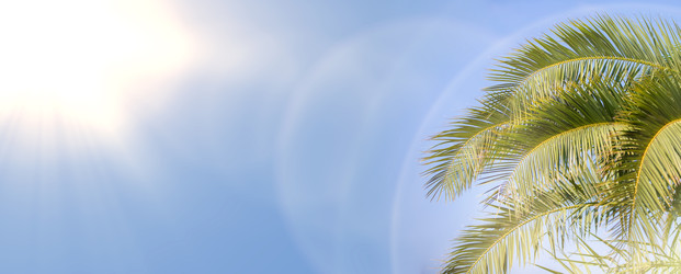 Similar image 22049499