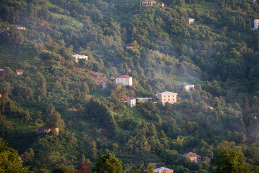 Similar image 22049521