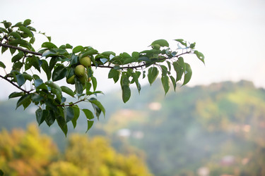 Similar image 22049522