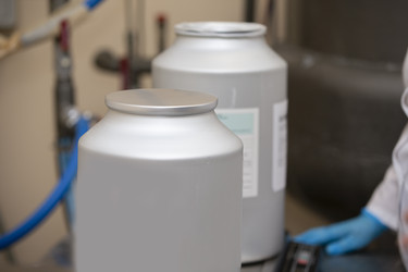 Similar image 22049524