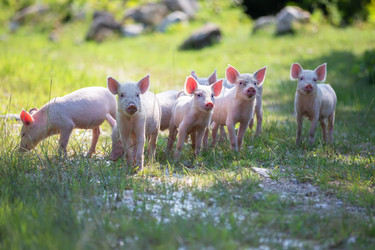 Similar image 22049539