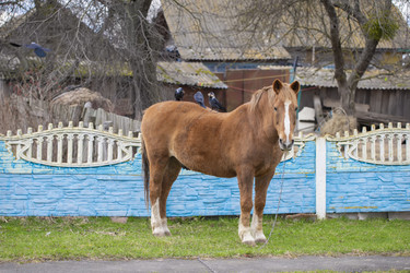 Similar image 22049547