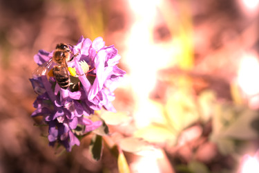 Similar image 22049550