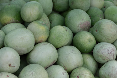 Similar image 22049553