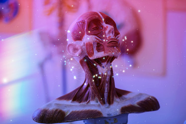 Similar image 22049561