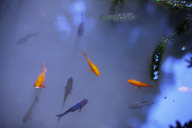 Similar image 22049565