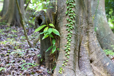 Similar image 22049572