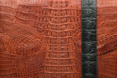 Similar image 22038020