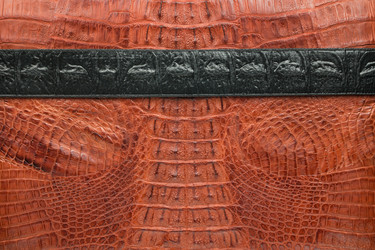 Similar image 22038021