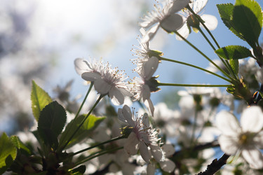 Similar image 22038024