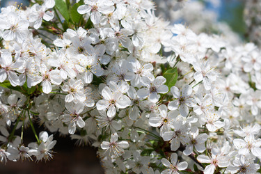 Similar image 22038027