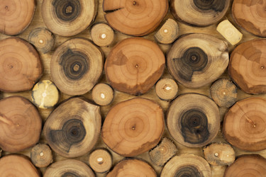 Similar image 22038042