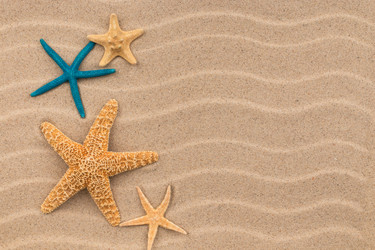 Similar image 22038043