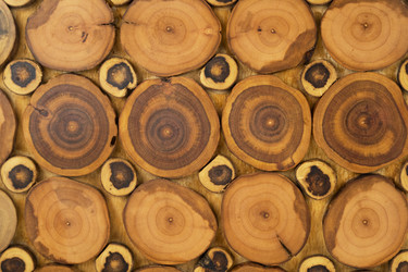 Similar image 22038044