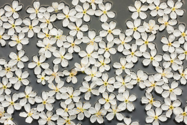 Similar image 22038047