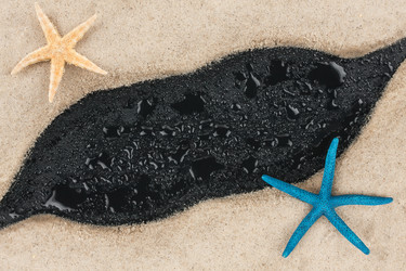 Similar image 22038058