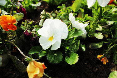 Similar image 22037916